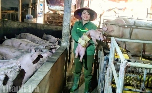 Dòng vốn chính sách “thắp” động lực phát triển cho nông dân